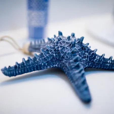 Mariposa Blanca, En 1ª Linea De Playa