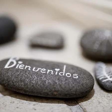 Mariposa Blanca, En 1ª Linea De Playa *