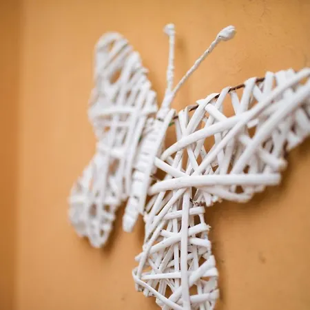 Mariposa Blanca, En 1ª Linea De Playa *