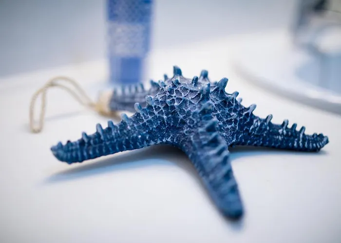 Mariposa Blanca, En 1ª Linea De Playa